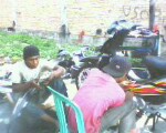 Qiuwa2